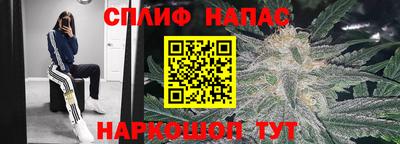 кокс Краснодар