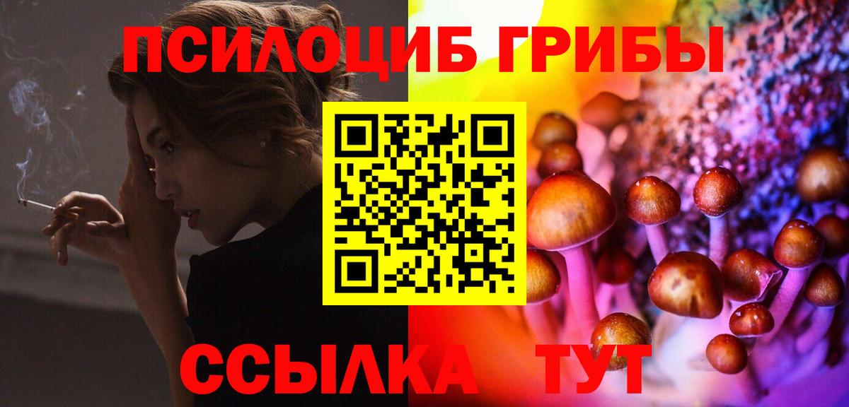 Кимры  Галлюциногенные грибы Cubensis  Вход с VPN 