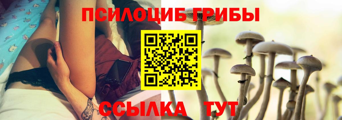 Псилоцибиновые грибы Psilocybine cubensis Кимры
